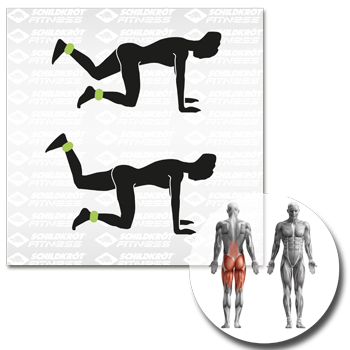 Schildkröt Fitness - Gewichtsmanschette Arm-Bein 0,5kg Set – Bild 6
