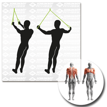 Schildkröt Fitness - Schlingentrainer / Suspension-Trainer – Bild 21
