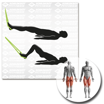 Schildkröt Fitness - Schlingentrainer / Suspension-Trainer – Bild 20