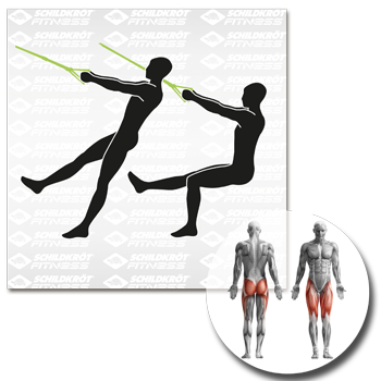 Schildkröt Fitness - Schlingentrainer / Suspension-Trainer – Bild 18