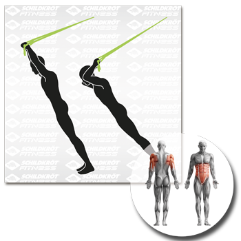 Schildkröt Fitness - Schlingentrainer / Suspension-Trainer – Bild 8