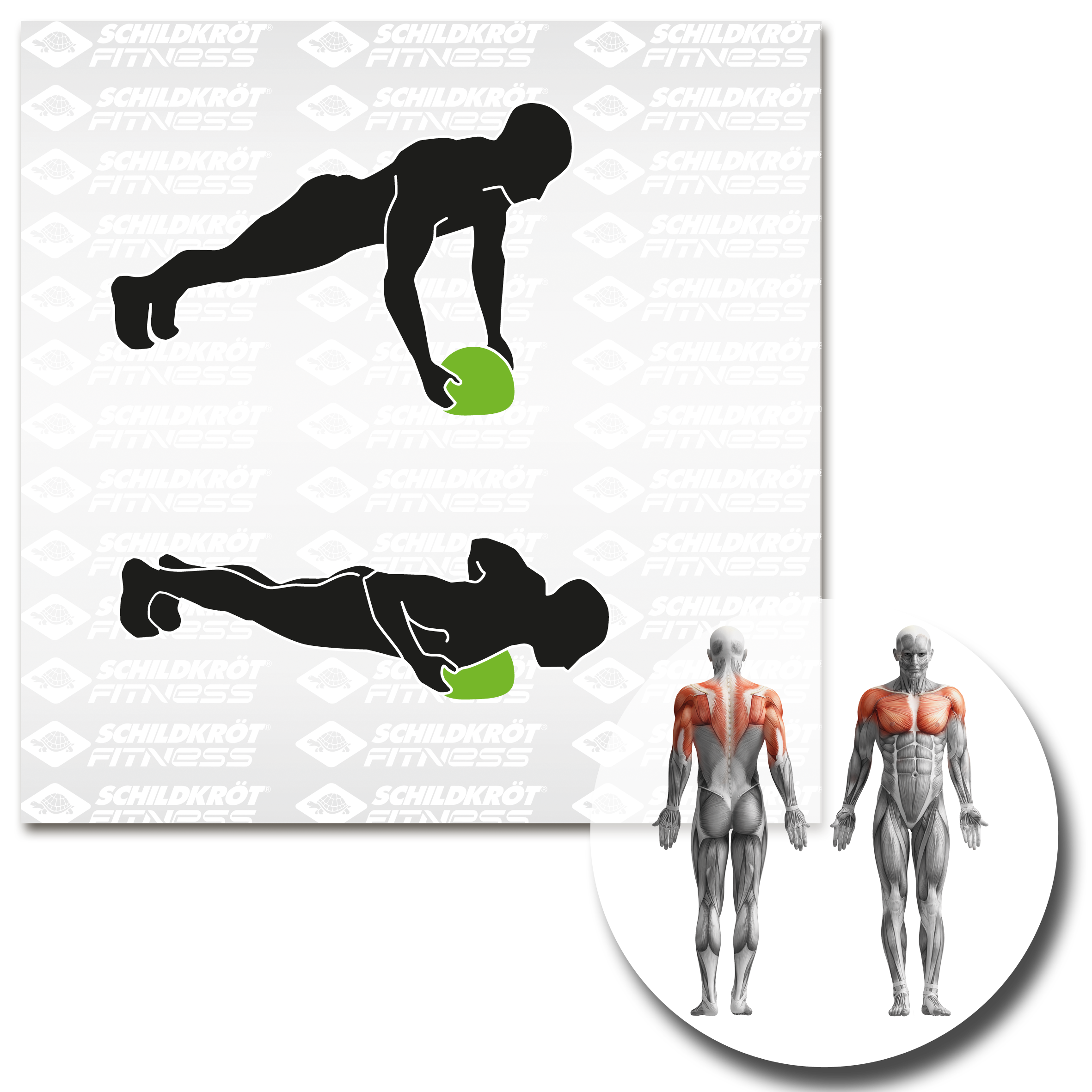 Schildkröt Fitness Slamball - 3,0kg – Bild 10