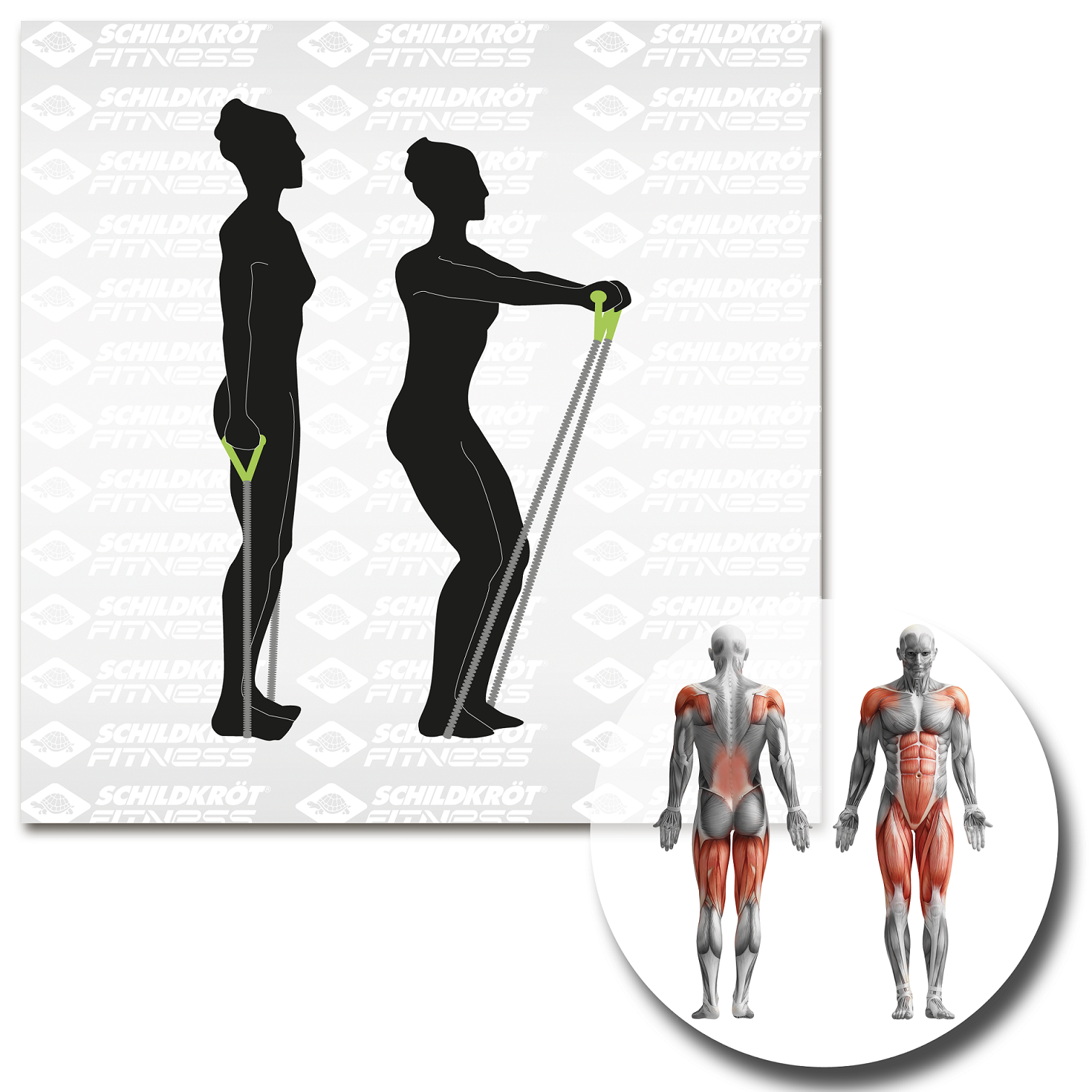 Schildkröt Fitness - Expander Trainer Pro – Bild 8