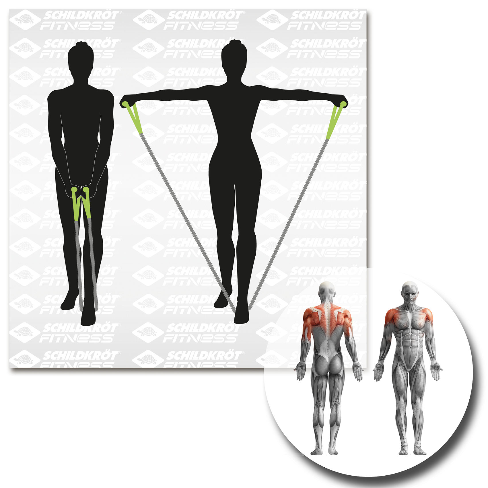 Schildkröt Fitness - Expander Trainer Pro – Bild 6
