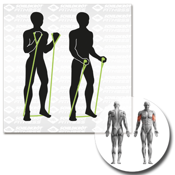 Schildkröt Fitness - Expander Set 3-teilig – Bild 26