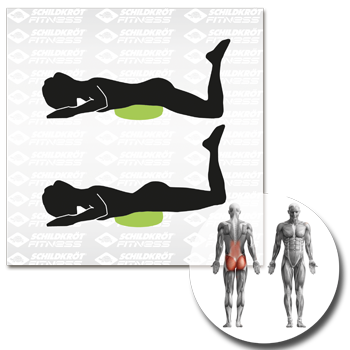 Schildkröt Fitness - Balance Kissen – Bild 10