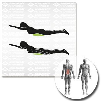 Schildkröt Fitness - Balance Kissen – Bild 8