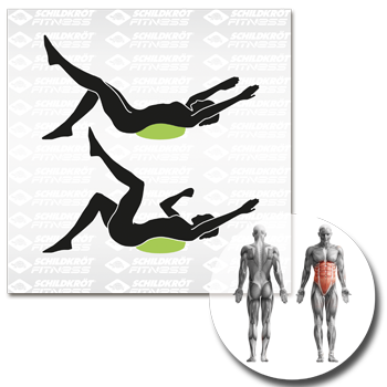 Schildkröt Fitness - Balance Kissen – Bild 7