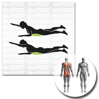 Schildkröt Fitness - Balance Kissen – Bild 6
