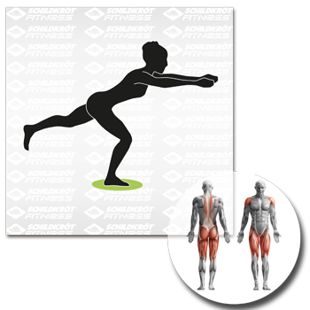 Schildkröt Fitness - Balance-Board / Fitnesskreisel NEU incl. Anti-Rutsch-Pad – Bild 12