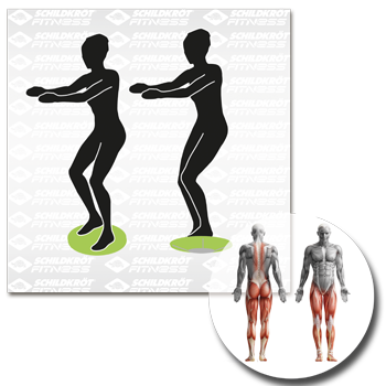 Schildkröt Fitness - Balance-Board / Fitnesskreisel NEU incl. Anti-Rutsch-Pad – Bild 10