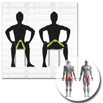 Schildkröt Fitness - Beintrainer – Bild 10
