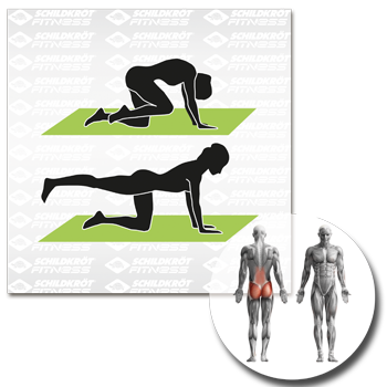 Schildkröt Fitness - Fitnessmatte grau – Bild 12
