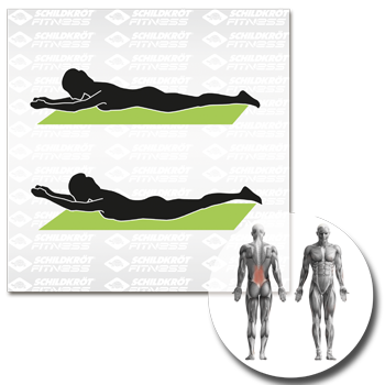 Schildkröt Fitness - Fitnessmatte grau – Bild 11