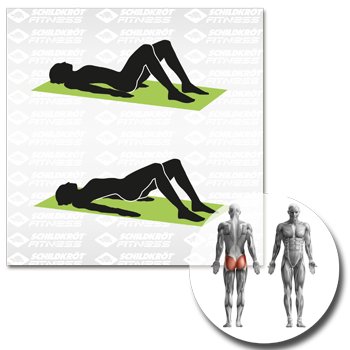 Schildkröt Fitness - Fitnessmatte grau – Bild 10