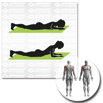 Schildkröt Fitness - Fitnessmatte grau – Bild 9