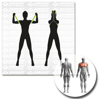 Schildkröt Fitness - Elastikband - 15kg (Medium) – Bild 14