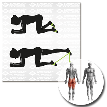 Schildkröt Fitness - Elastikband - 15kg (Medium) – Bild 11