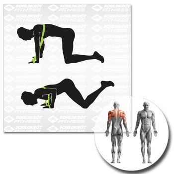 Schildkröt Fitness - Elastikband - 15kg (Medium) – Bild 10