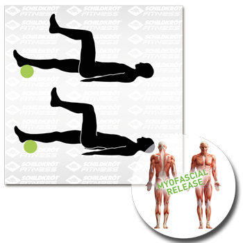 Schildkröt Fitness - MF Roll / Massagerolle – Bild 10