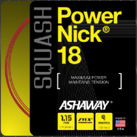 ASHAWAY PowerNick 18 Zyex - Set